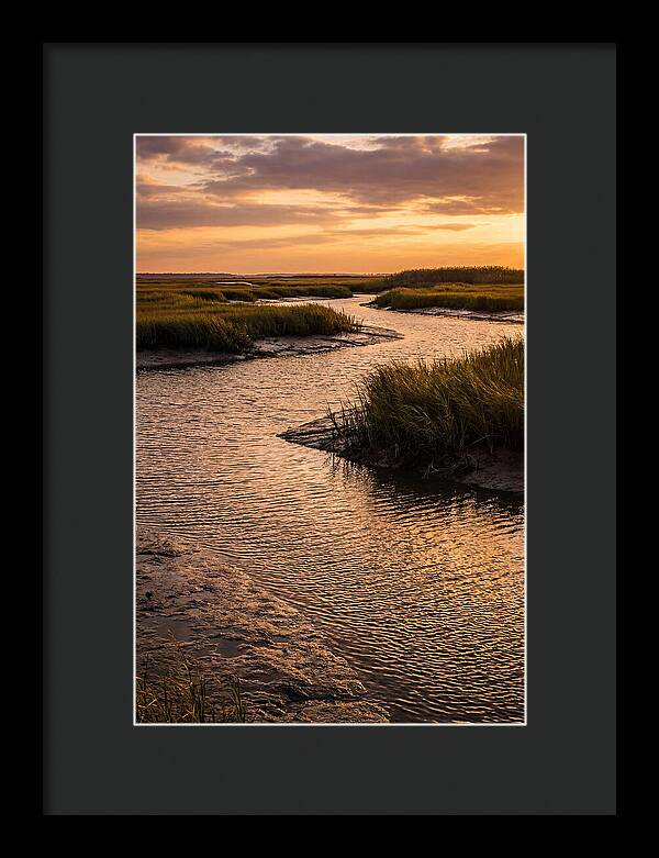 Bombay Hook Marshes Serenity