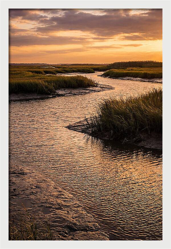 Bombay Hook Marshes Serenity