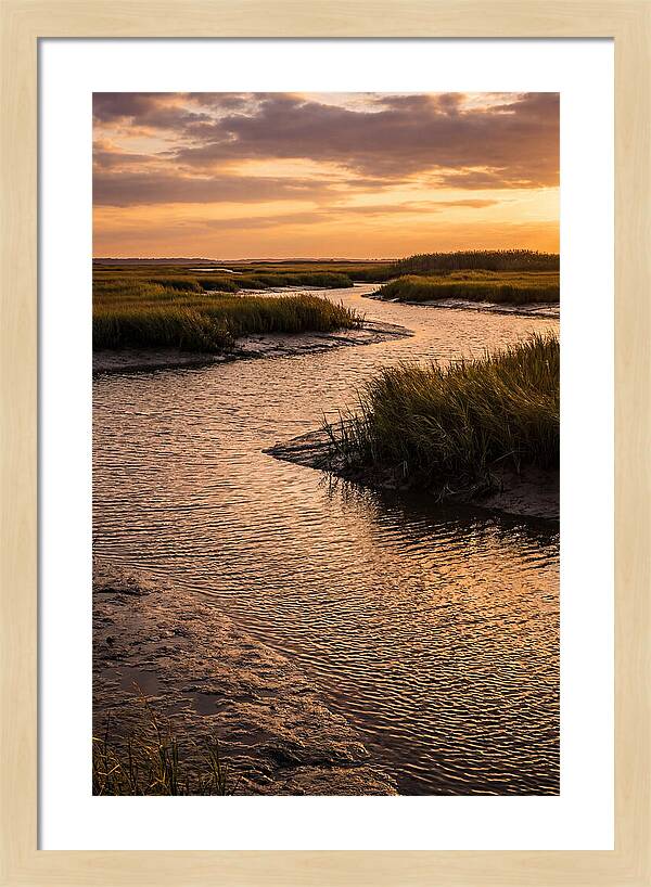 Bombay Hook Marshes Serenity
