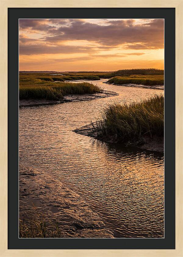 Bombay Hook Marshes Serenity
