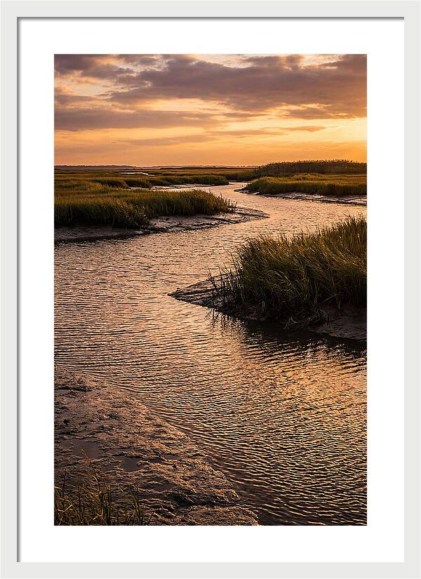 Bombay Hook Marshes Serenity