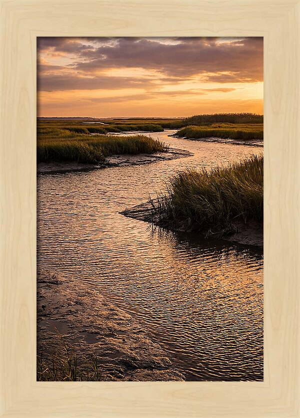Bombay Hook Marshes Serenity