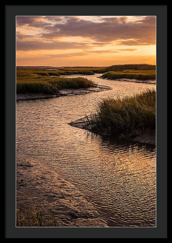 Bombay Hook Marshes Serenity