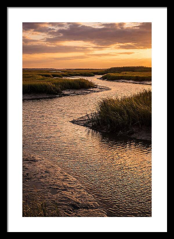 Bombay Hook Marshes Serenity
