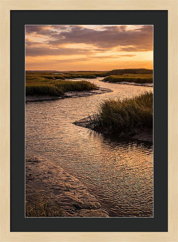 Bombay Hook Marshes Serenity