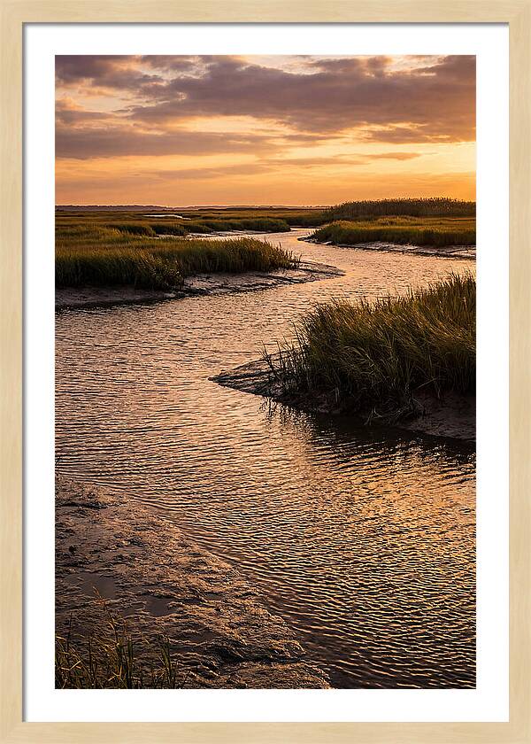 Bombay Hook Marshes Serenity
