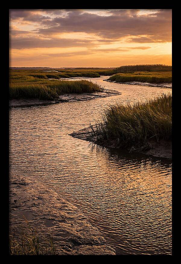 Bombay Hook Marshes Serenity