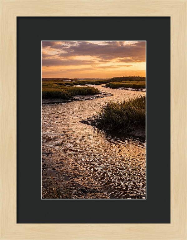 Bombay Hook Marshes Serenity