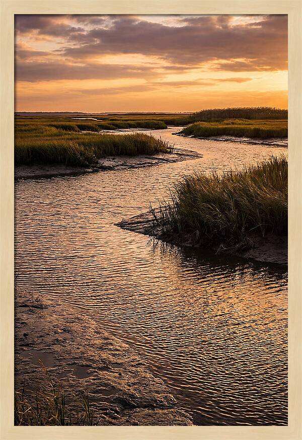 Bombay Hook Marshes Serenity