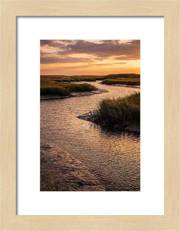 Bombay Hook Marshes Serenity