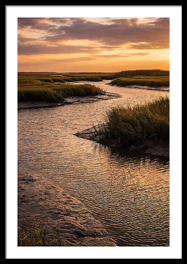 Bombay Hook Marshes Serenity