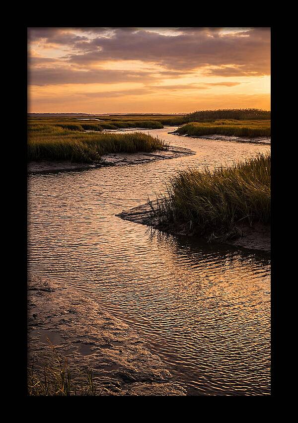 Bombay Hook Marshes Serenity