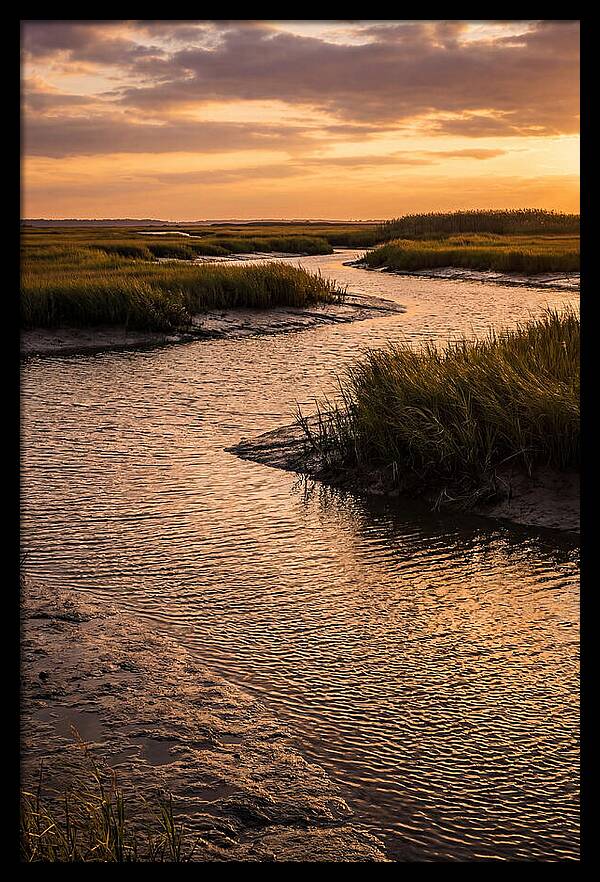 Bombay Hook Marshes Serenity
