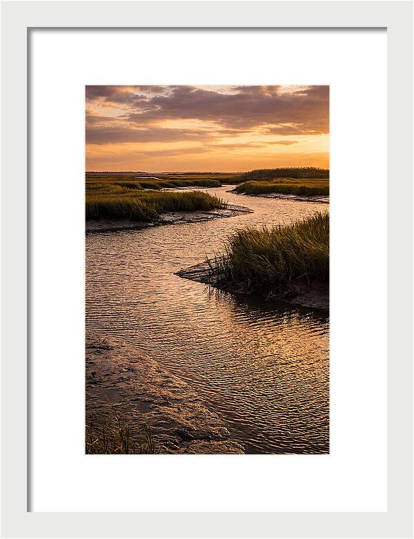 Bombay Hook Marshes Serenity