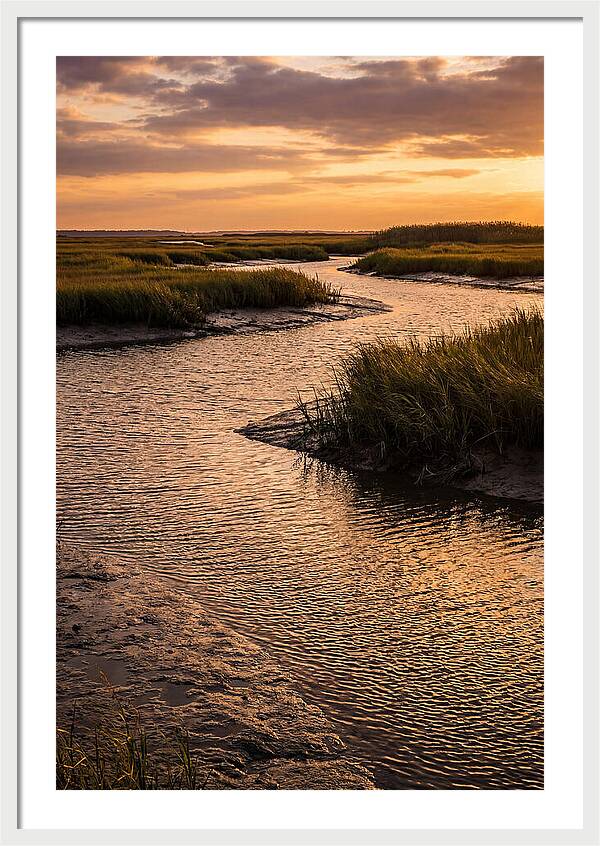 Bombay Hook Marshes Serenity