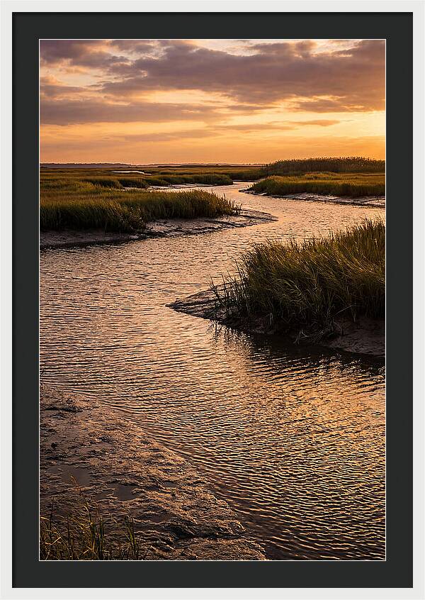 Bombay Hook Marshes Serenity