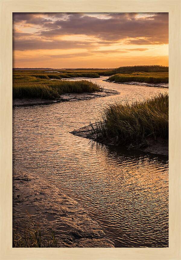 Bombay Hook Marshes Serenity