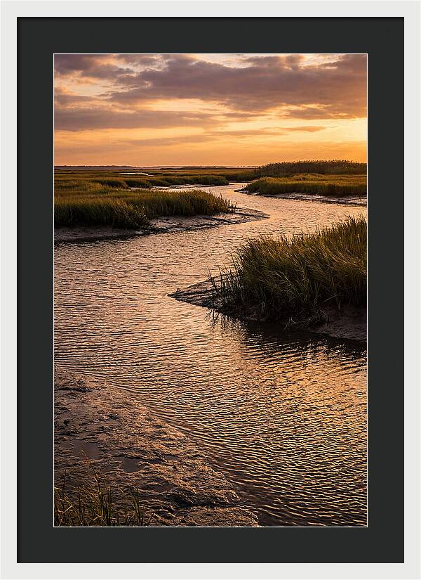 Bombay Hook Marshes Serenity