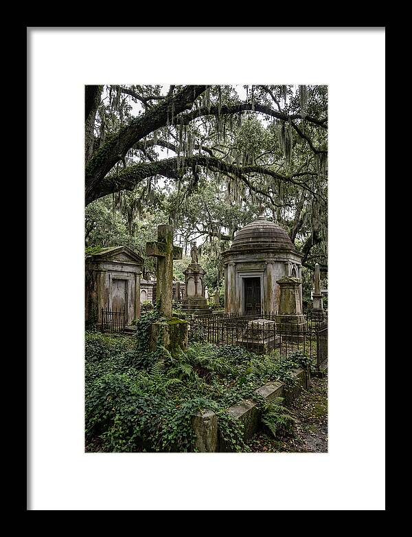 Bonaventure Cemetery Serenity