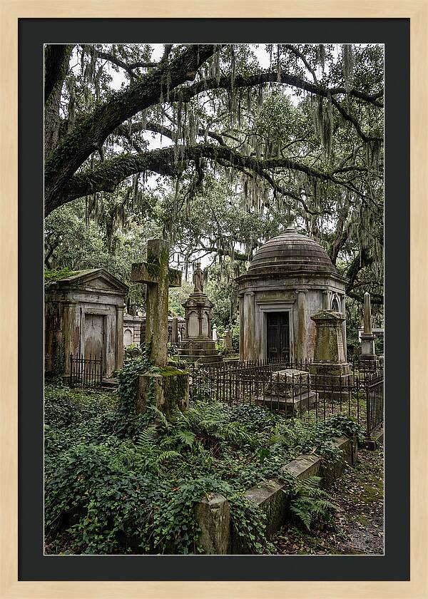 Bonaventure Cemetery Serenity