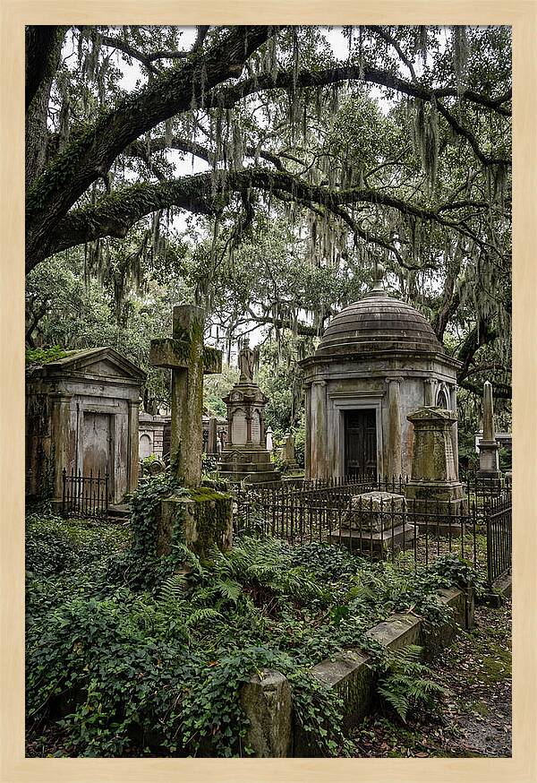 Bonaventure Cemetery Serenity