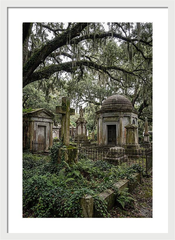 Bonaventure Cemetery Serenity