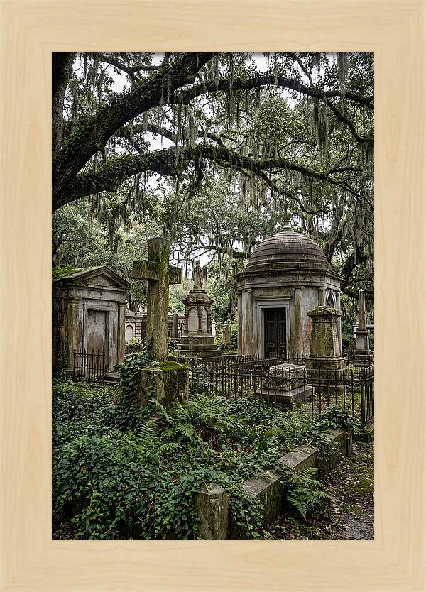 Bonaventure Cemetery Serenity