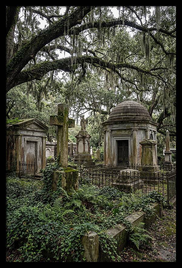 Bonaventure Cemetery Serenity