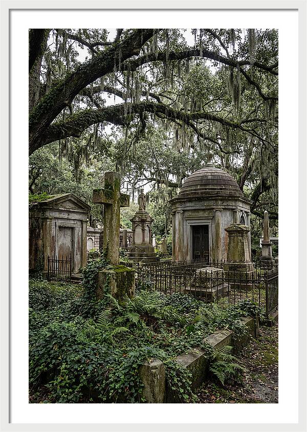 Bonaventure Cemetery Serenity