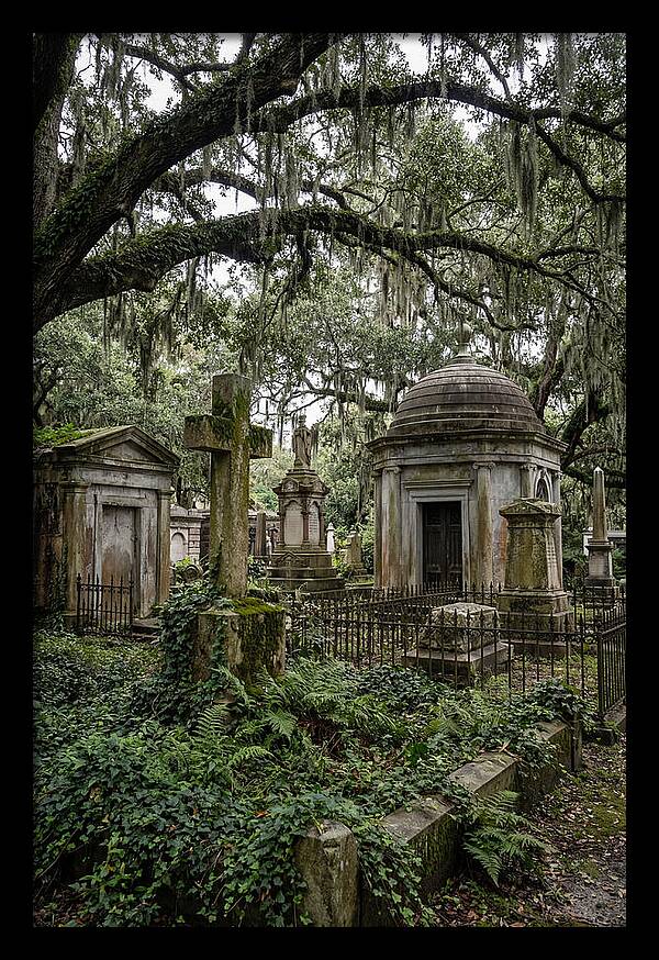 Bonaventure Cemetery Serenity