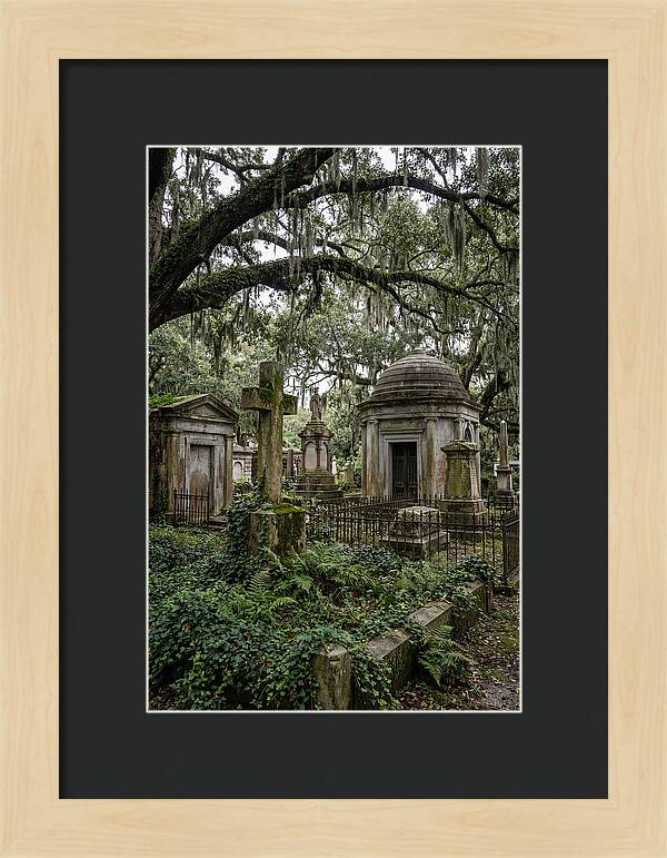 Bonaventure Cemetery Serenity