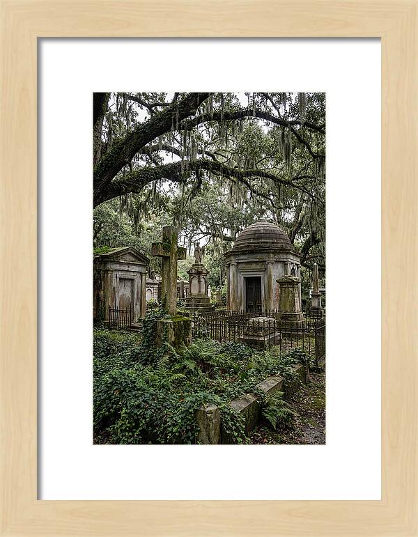 Bonaventure Cemetery Serenity