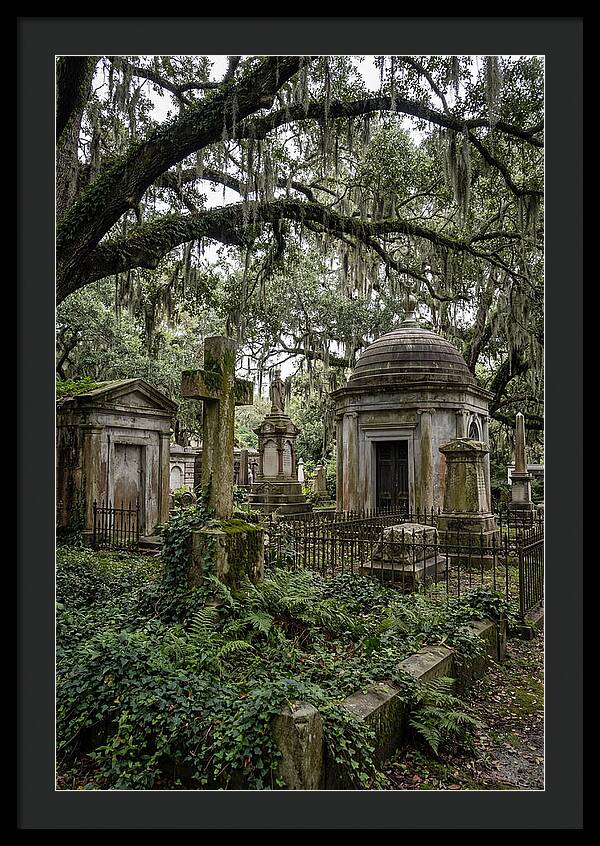 Bonaventure Cemetery Serenity