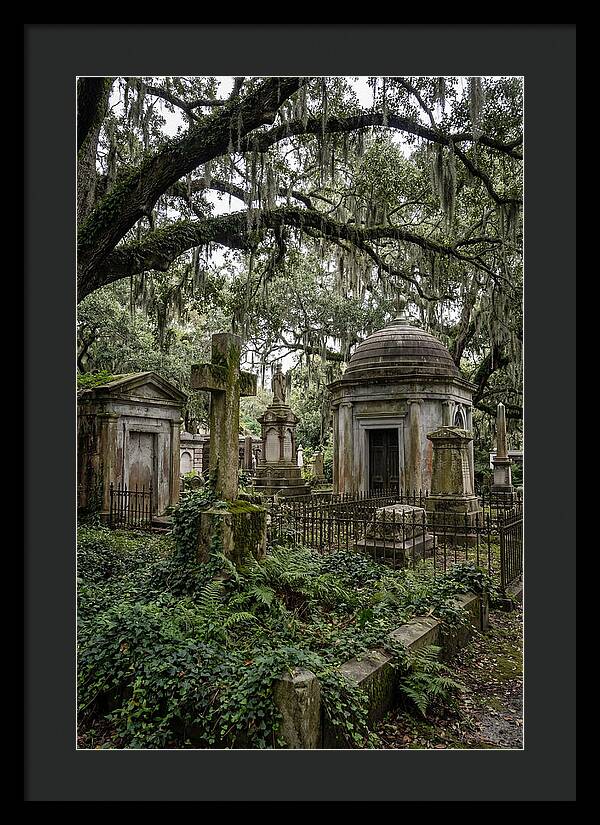 Bonaventure Cemetery Serenity