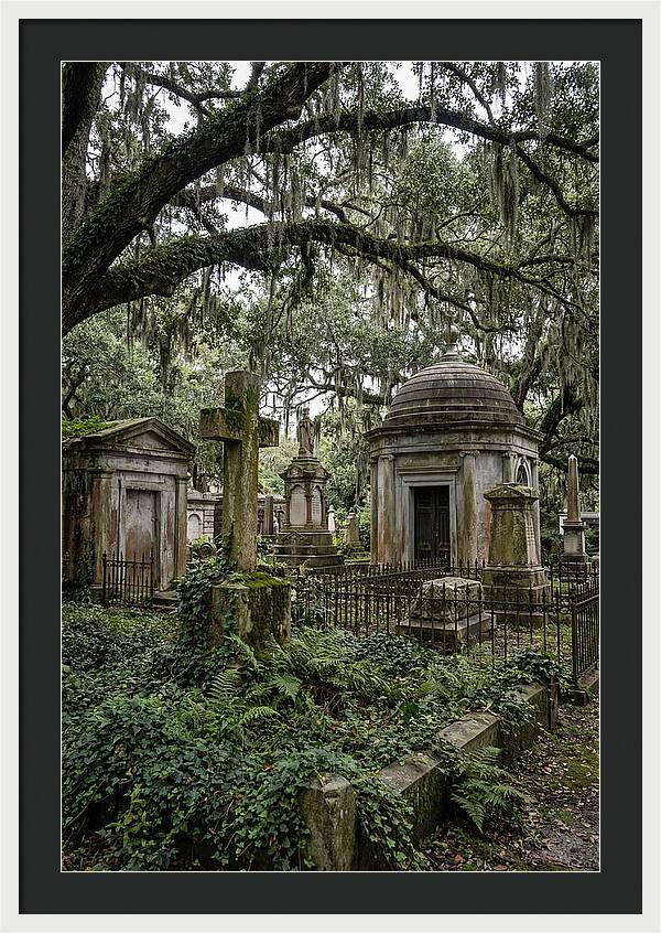 Bonaventure Cemetery Serenity