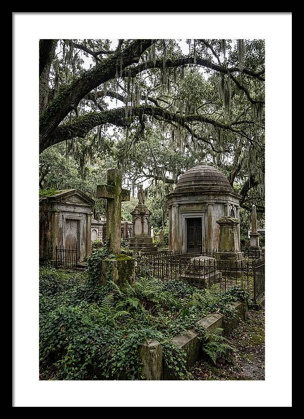 Bonaventure Cemetery Serenity