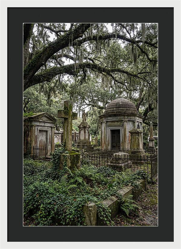 Bonaventure Cemetery Serenity