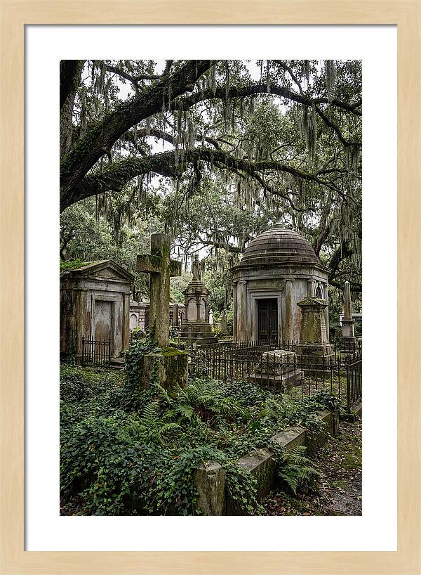 Bonaventure Cemetery Serenity
