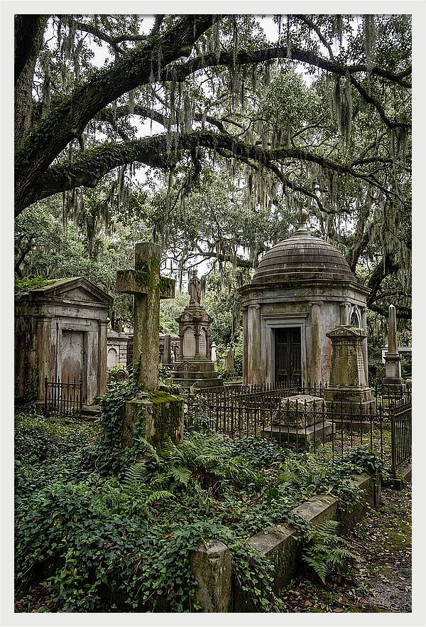 Bonaventure Cemetery Serenity