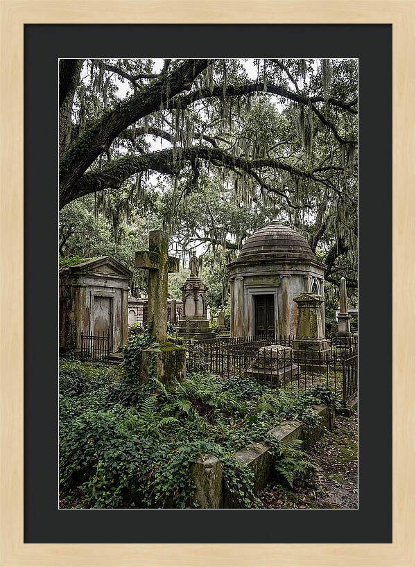 Bonaventure Cemetery Serenity