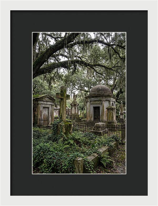 Bonaventure Cemetery Serenity