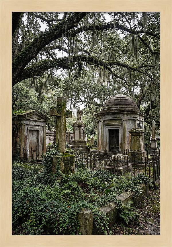 Bonaventure Cemetery Serenity