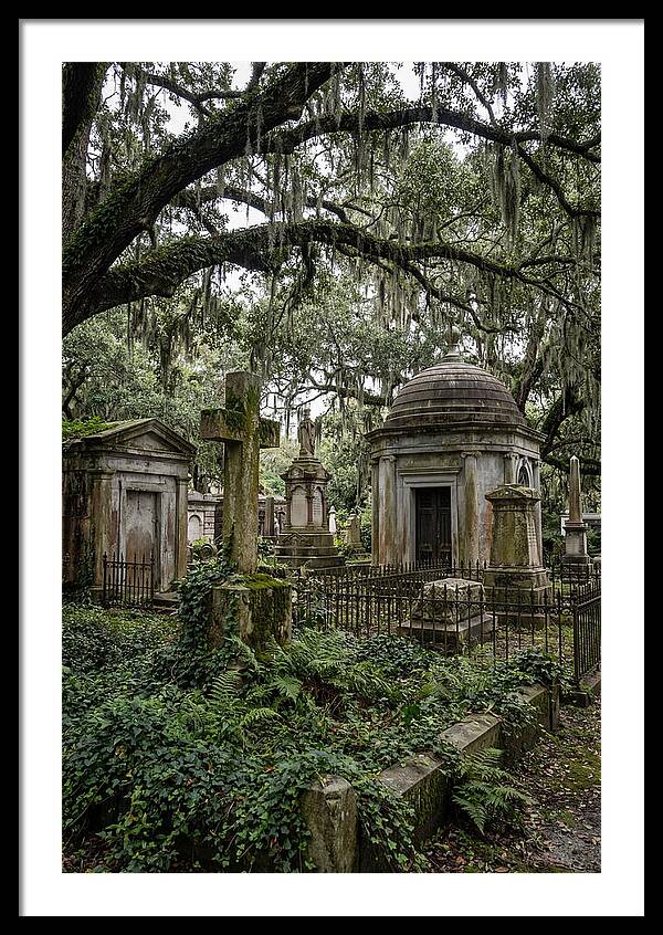 Bonaventure Cemetery Serenity