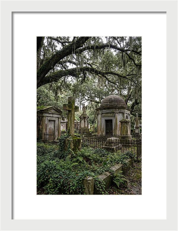 Bonaventure Cemetery Serenity