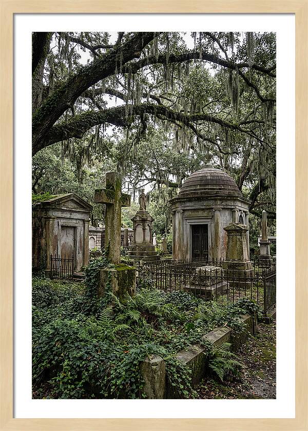 Bonaventure Cemetery Serenity