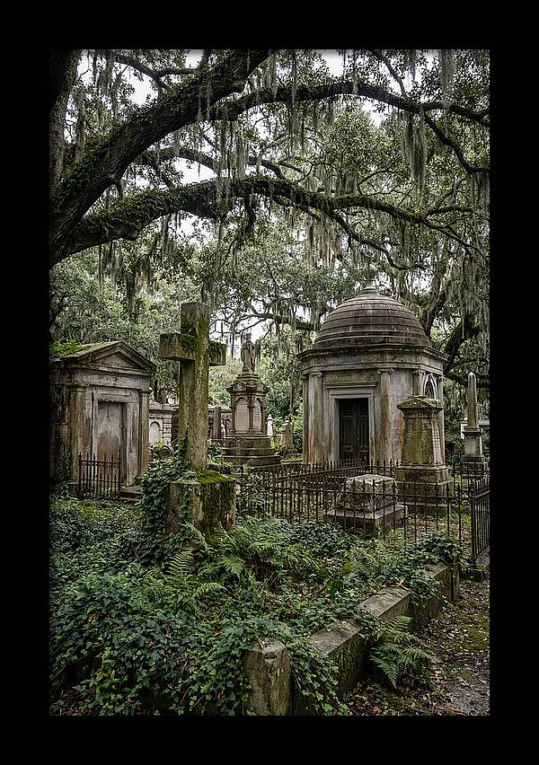 Bonaventure Cemetery Serenity