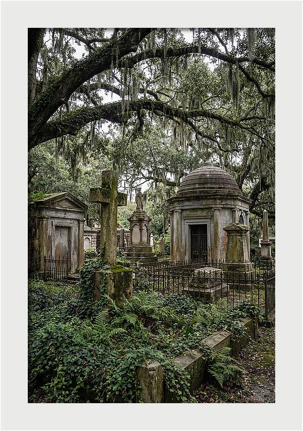 Bonaventure Cemetery Serenity