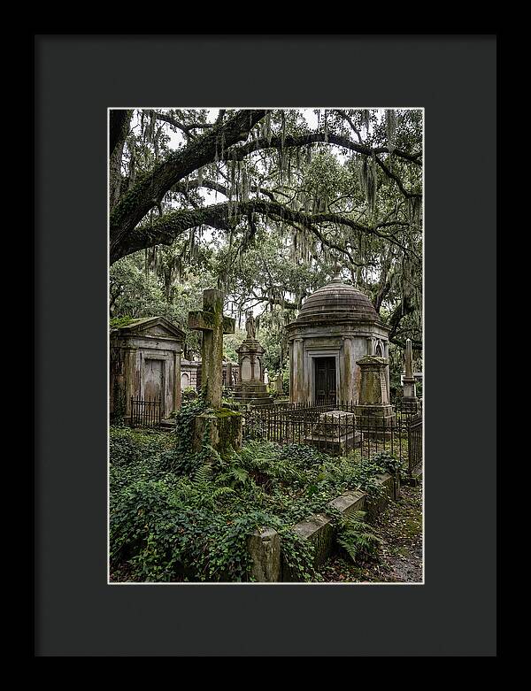 Bonaventure Cemetery Serenity