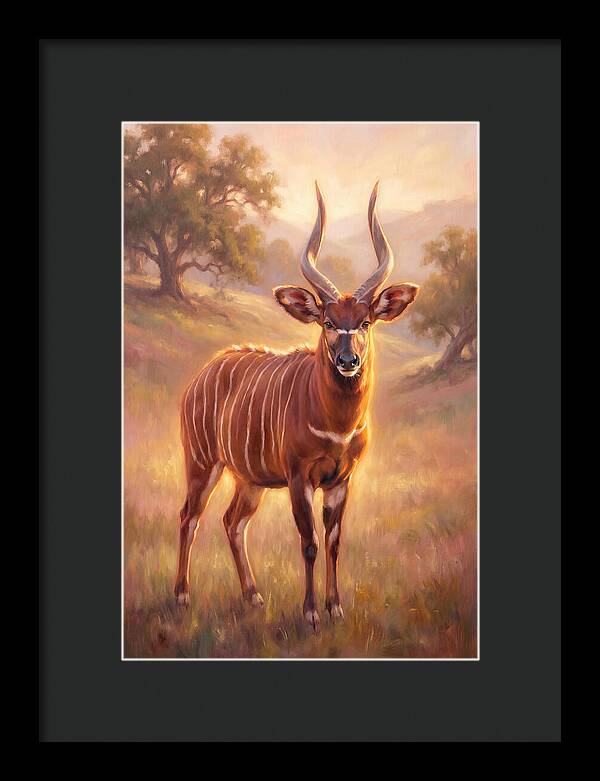 Bongo In Light
