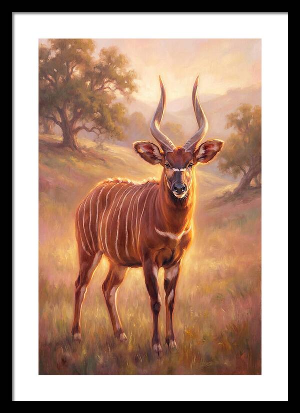 Bongo In Light